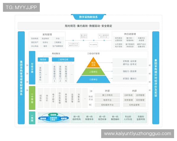 开云中国关网对供应链管理的影响及企业如何实现高效应对的策略分析