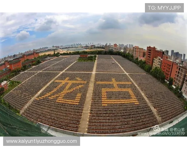 开云体育集团会员注册流程详解助你轻松成为会员