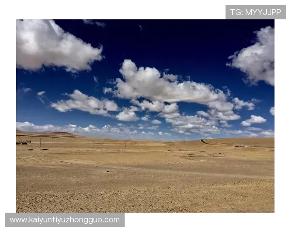 开启开云现金账户的步骤详解确保资金安全与操作便捷