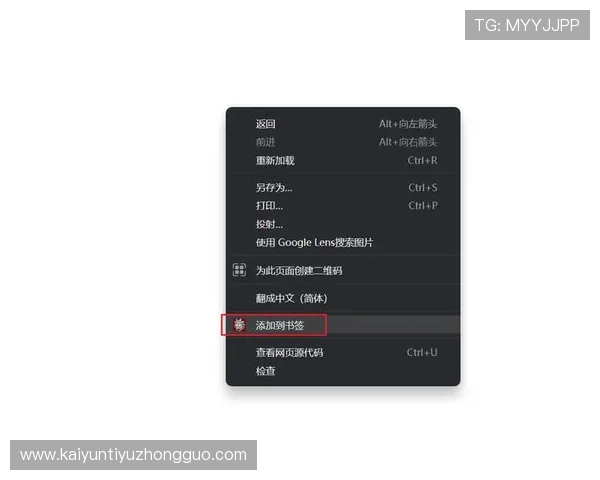 设置开云网址登录入口书签,方便你的每一天登录体验 设置开云网址登录入口书签,方便你的每一天登录体验